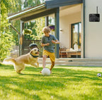 Wireless Dog Fence & Training Collar System