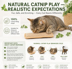 Natural Catnip Chew Toy Bite-Resistant Cotton Rope for Self-Amusement