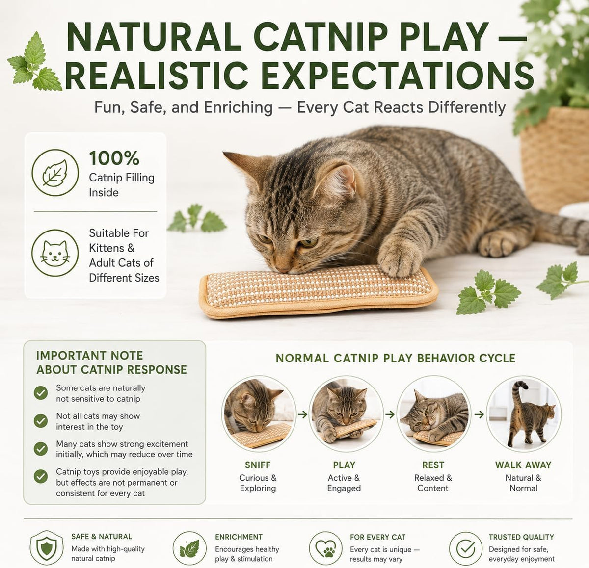 Natural Catnip Chew Toy Bite-Resistant Cotton Rope for Self-Amusement