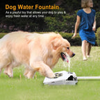 Step-On Outdoor Water Fountain For Dogs