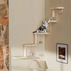 Modular Wall-Mounted Cat Climbing System