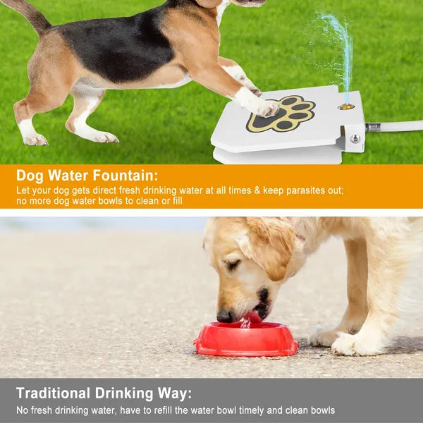 Step-On Outdoor Water Fountain For Dogs