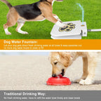 Step-On Outdoor Water Fountain For Dogs