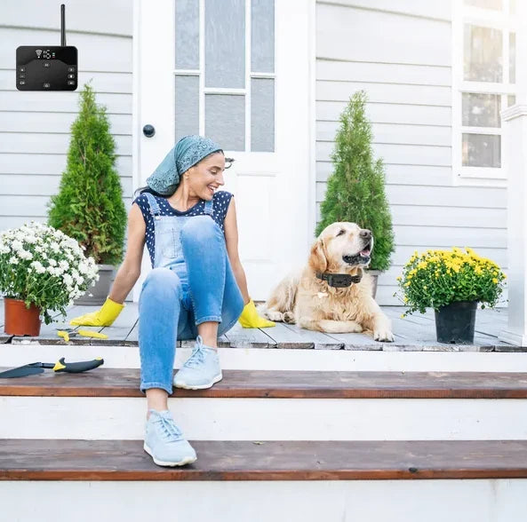 Wireless Dog Fence & Training Collar System