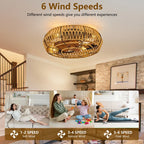 19" Boho Caged Ceiling Fan with Light & Remote – 6-Speed Low-Profile Reversible Fan